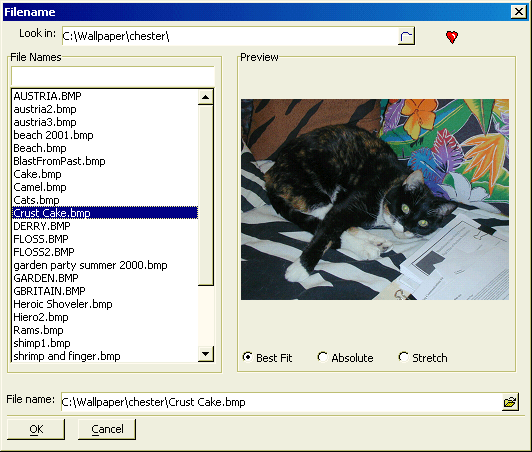 Ui Get Image Filename